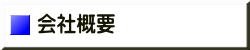 バンレボ　会社概要