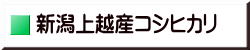 バンレボ　新潟上越産コシヒカリ